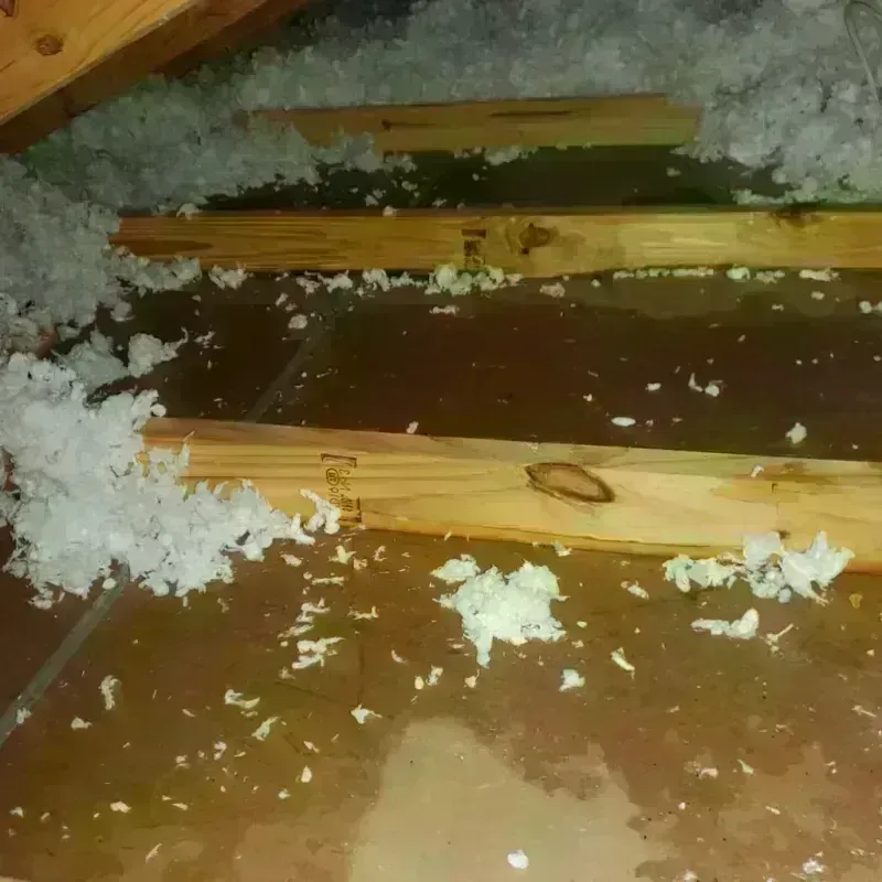 Attic Water Damage in Galena, KS